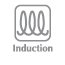 Induction Induction