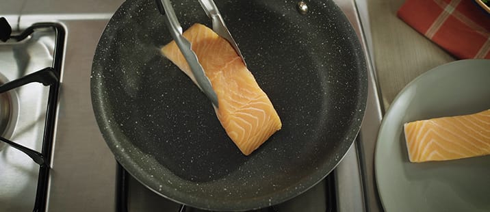 Granite Rock Pan Salmon Test Granite Rock Pan Salmon Test