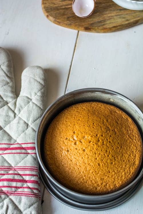 Italian Sponge Cake Recipe Italian Sponge Cake Recipe