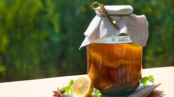 All The Greens Kombucha Recipe All The Greens Kombucha Recipe