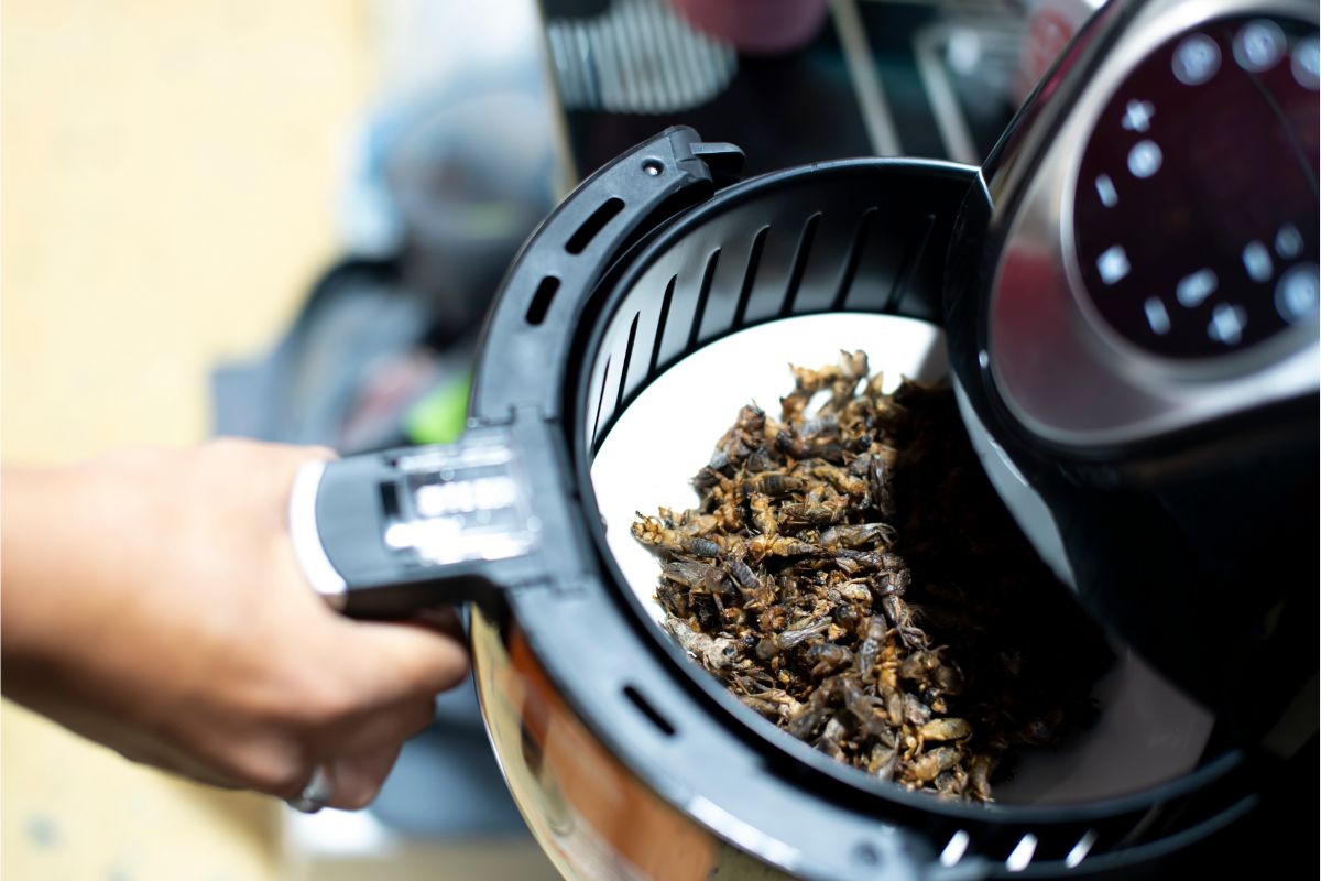 Complete Air Fryer Size Guide And Capacity Comparisons